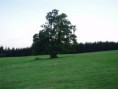/album/beskydy/p8060780-jpg/