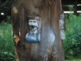 /album/roznov-p-r-/p8140590-jpg/